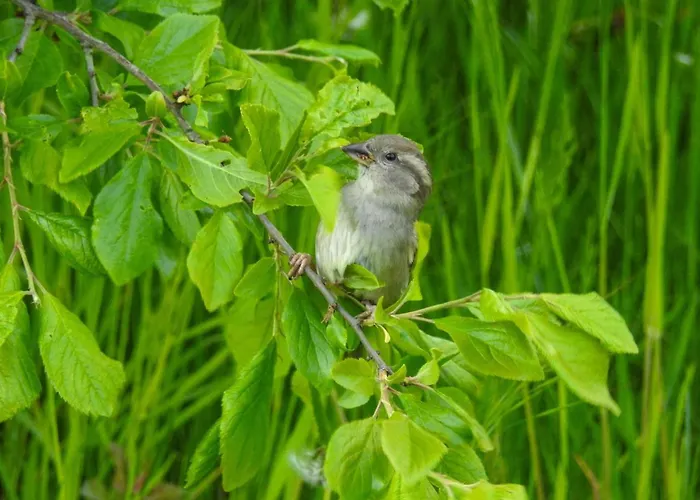 Hébergement de vacances 5 Star In *